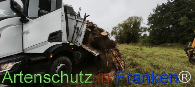 Bild zum Eintrag (1127116-160)