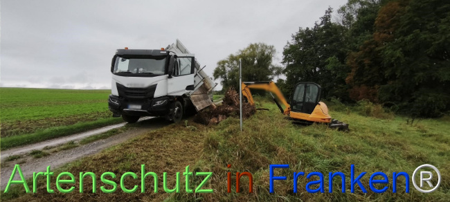 Bild zum Eintrag (1127123-160)