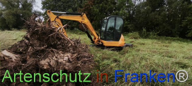 Bild zum Eintrag (1127127-160)