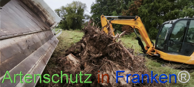 Bild zum Eintrag (1127128-160)