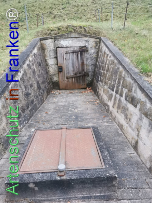 © Artenschutz in Franken® Bild zum Eintrag (1127181-160)