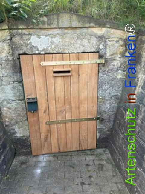 © Artenschutz in Franken® Bild zum Eintrag (1127190-160)