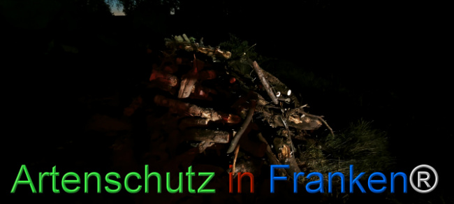 Bild zum Eintrag (1127360-160)