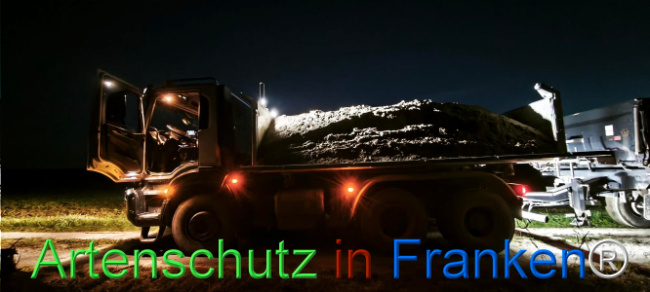 Bild zum Eintrag (1127362-160)