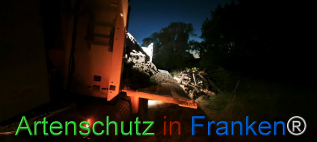 Bild zum Eintrag (1127363-160)