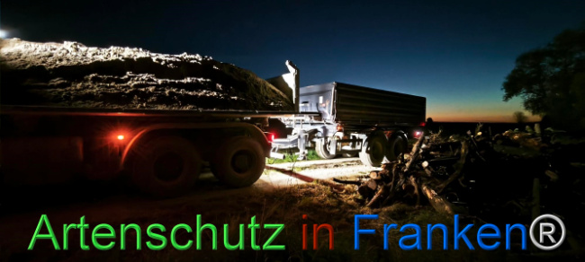 Bild zum Eintrag (1127364-160)