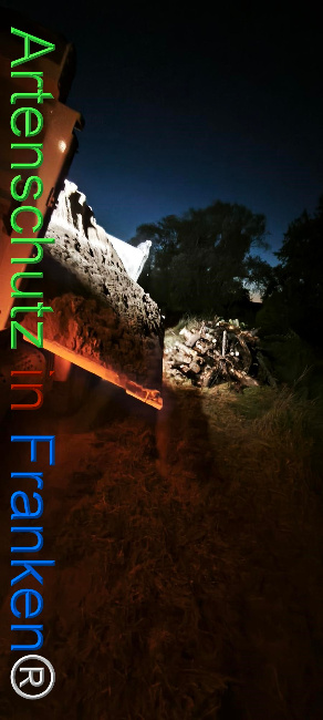 Bild zum Eintrag (1127367-160)