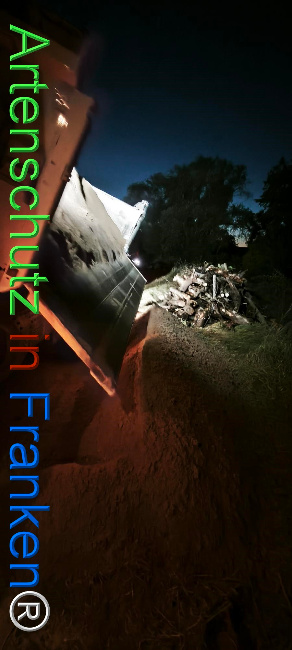 Bild zum Eintrag (1127368-160)