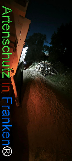 Bild zum Eintrag (1127369-160)