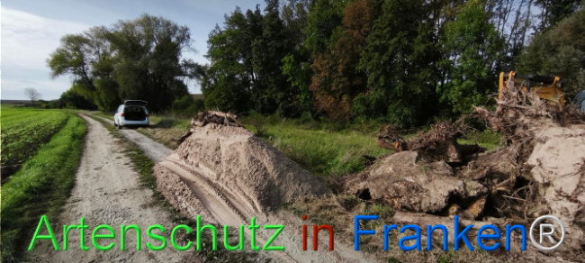 Bild zum Eintrag (1127390-160)