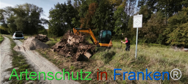 Bild zum Eintrag (1127391-160)