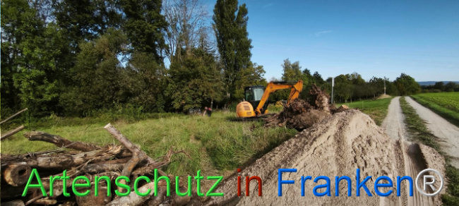 Bild zum Eintrag (1127392-160)