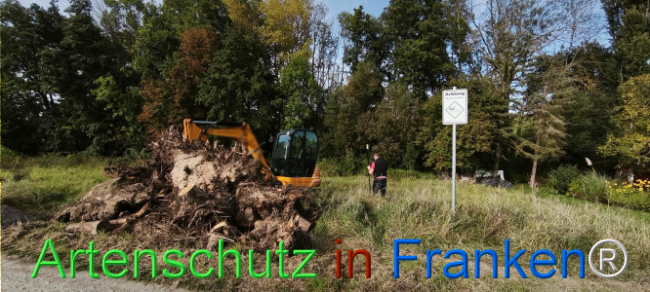 Bild zum Eintrag (1127393-160)