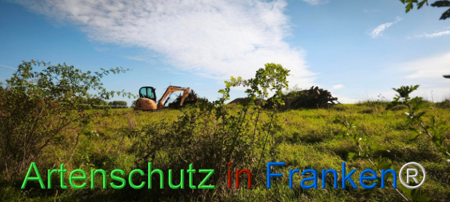 Bild zum Eintrag (1127395-160)