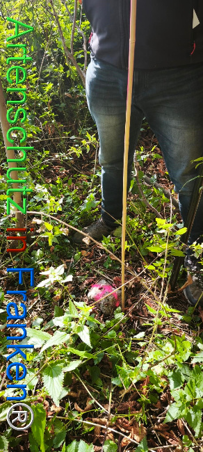 Bild zum Eintrag (1127397-160)