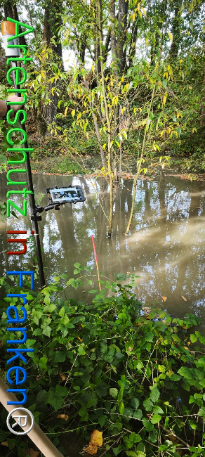 Bild zum Eintrag (1127398-160)