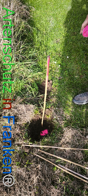 Bild zum Eintrag (1127399-160)