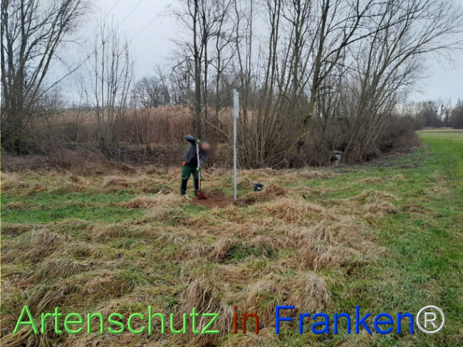 Bild zum Eintrag (1127424-160)