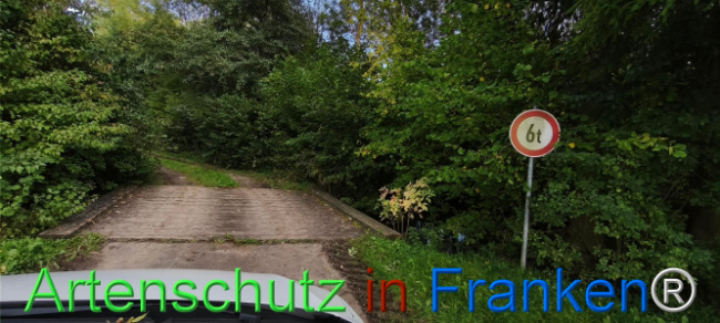 Bild zum Eintrag (1127428-160)