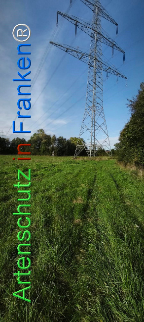 Bild zum Eintrag (1127431-160)