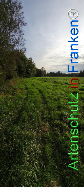 Bild zum Eintrag (1127434-160)