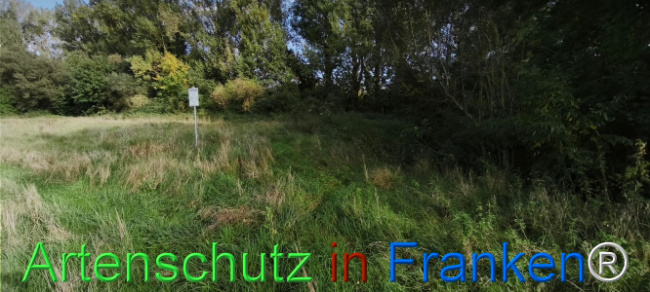 Bild zum Eintrag (1127436-160)