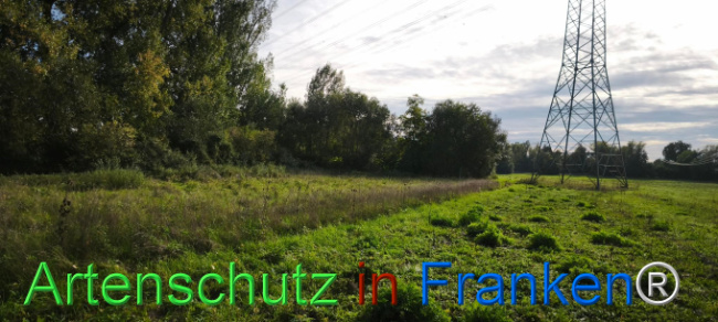 Bild zum Eintrag (1127437-160)