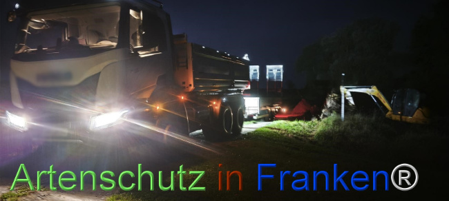 Bild zum Eintrag (1127485-160)