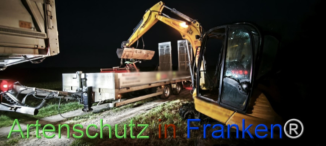 Bild zum Eintrag (1127486-160)