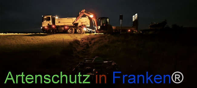 Bild zum Eintrag (1127487-160)