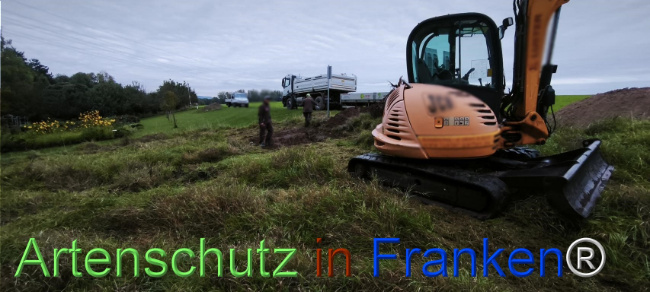 Bild zum Eintrag (1127488-160)