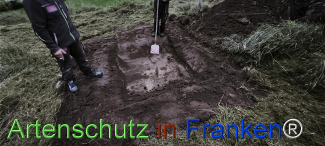 Bild zum Eintrag (1127489-160)