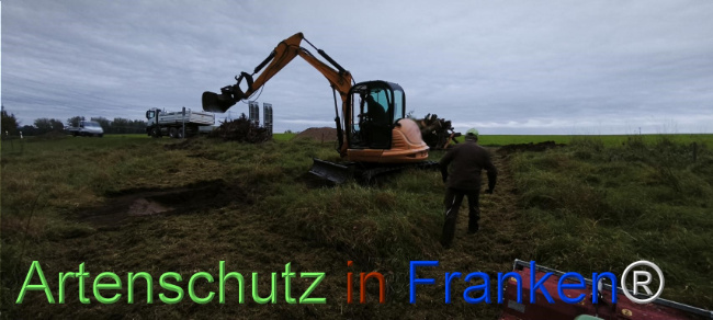 Bild zum Eintrag (1127490-160)