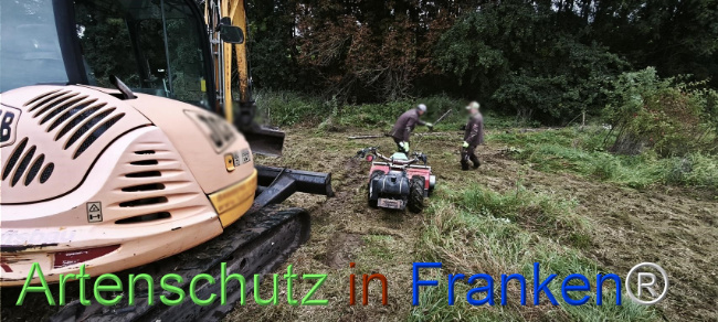 Bild zum Eintrag (1127491-160)