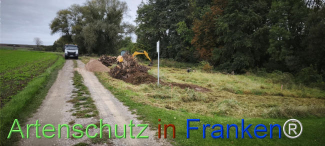 Bild zum Eintrag (1127492-160)