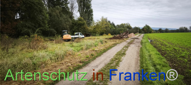 Bild zum Eintrag (1127493-160)