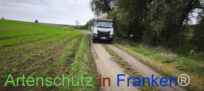 Bild zum Eintrag (1127495-160)