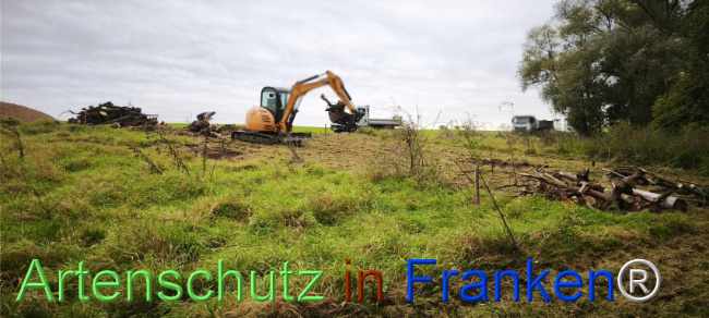 Bild zum Eintrag (1127496-160)