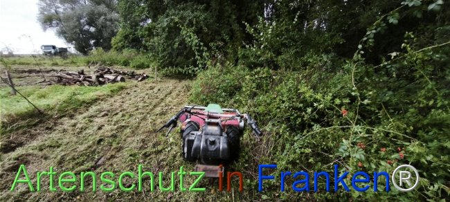 Bild zum Eintrag (1127497-160)