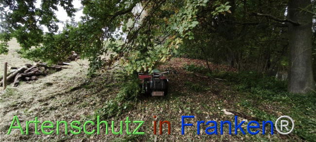 Bild zum Eintrag (1127498-160)