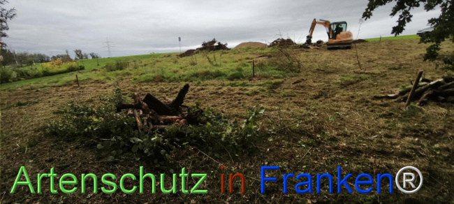 Bild zum Eintrag (1127499-160)