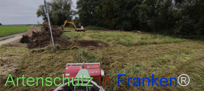 Bild zum Eintrag (1127500-160)