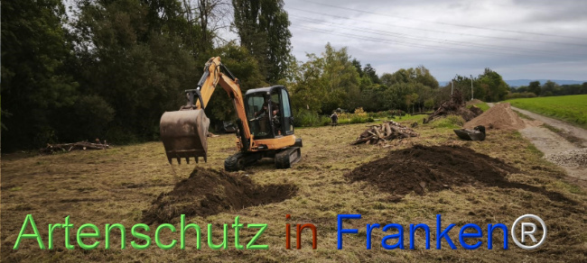 Bild zum Eintrag (1127501-160)