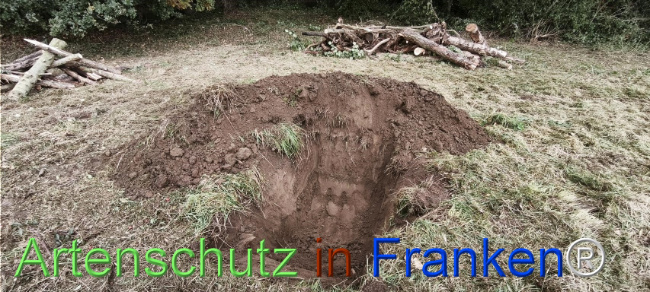 Bild zum Eintrag (1127502-160)