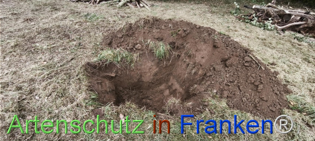 Bild zum Eintrag (1127503-160)