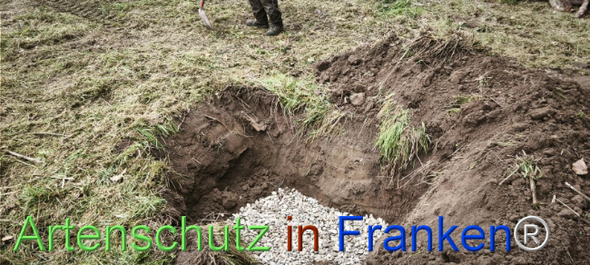 Bild zum Eintrag (1127505-160)