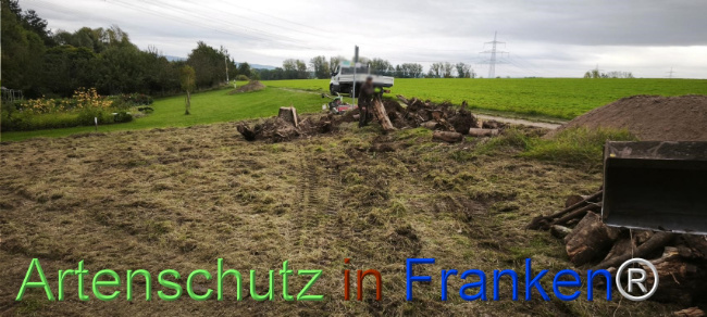 Bild zum Eintrag (1127506-160)