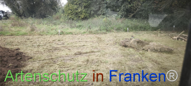 Bild zum Eintrag (1127508-160)