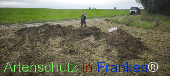 Bild zum Eintrag (1127509-160)