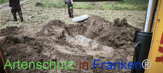 Bild zum Eintrag (1127510-160)